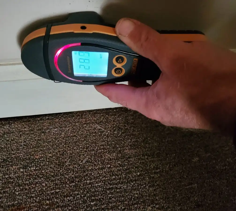 Moisture detection at baseboard during Sewage Cleanup & Sanitation in Northampton